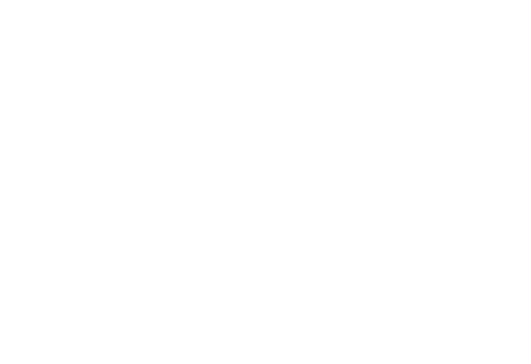 RKSolution
